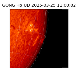 gong - 2025-03-25T11:00:02