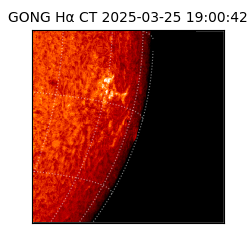 gong - 2025-03-25T19:00:42