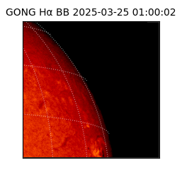 gong - 2025-03-25T01:00:02