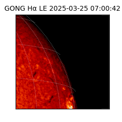 gong - 2025-03-25T07:00:42