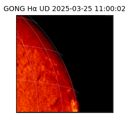gong - 2025-03-25T11:00:02