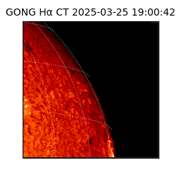gong - 2025-03-25T19:00:42