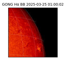 gong - 2025-03-25T01:00:02
