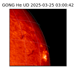 gong - 2025-03-25T03:00:42