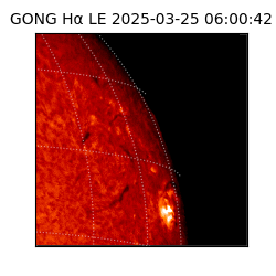 gong - 2025-03-25T06:00:42