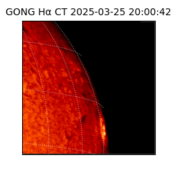 gong - 2025-03-25T20:00:42