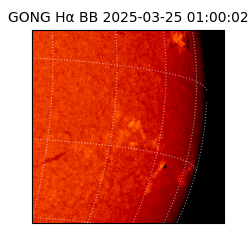 gong - 2025-03-25T01:00:02