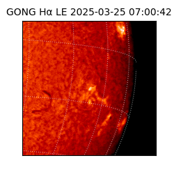 gong - 2025-03-25T07:00:42