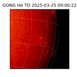 gong - 2025-03-25T09:00:22