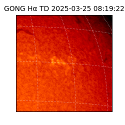 gong - 2025-03-25T08:19:22