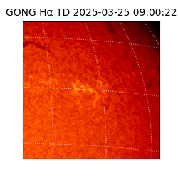 gong - 2025-03-25T09:00:22