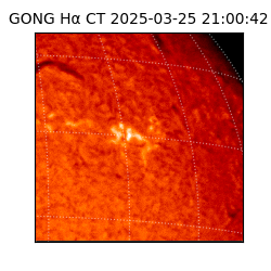 gong - 2025-03-25T21:00:42