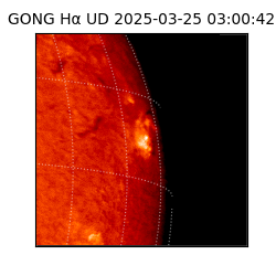 gong - 2025-03-25T03:00:42