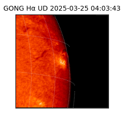 gong - 2025-03-25T04:03:43