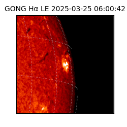 gong - 2025-03-25T06:00:42