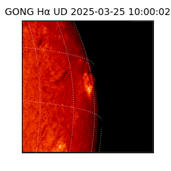 gong - 2025-03-25T10:00:02