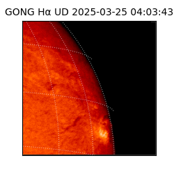 gong - 2025-03-25T04:03:43