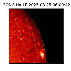 gong - 2025-03-25T06:00:42