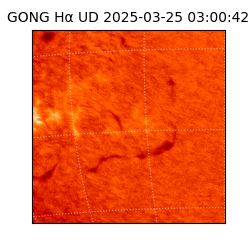 gong - 2025-03-25T03:00:42