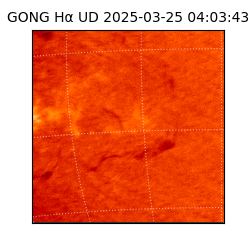 gong - 2025-03-25T04:03:43