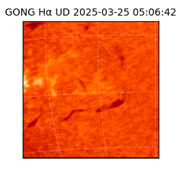 gong - 2025-03-25T05:06:42