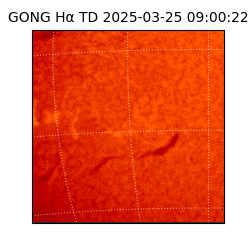 gong - 2025-03-25T09:00:22