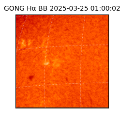 gong - 2025-03-25T01:00:02