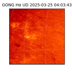 gong - 2025-03-25T04:03:43