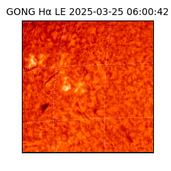 gong - 2025-03-25T06:00:42
