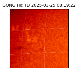 gong - 2025-03-25T08:19:22