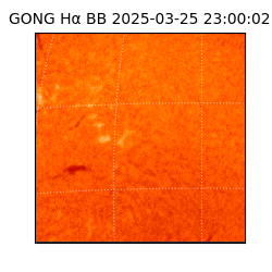 gong - 2025-03-25T23:00:02