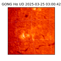 gong - 2025-03-25T03:00:42