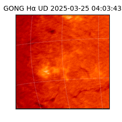 gong - 2025-03-25T04:03:43