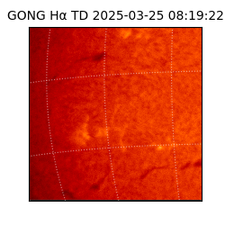 gong - 2025-03-25T08:19:22