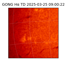 gong - 2025-03-25T09:00:22