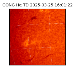 gong - 2025-03-25T16:01:22