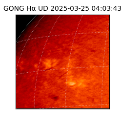 gong - 2025-03-25T04:03:43