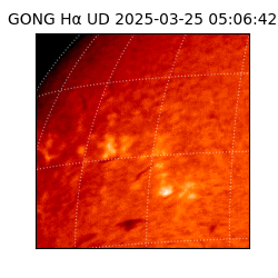 gong - 2025-03-25T05:06:42