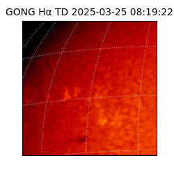 gong - 2025-03-25T08:19:22