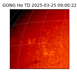 gong - 2025-03-25T09:00:22