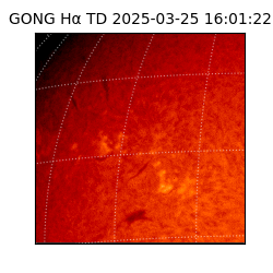 gong - 2025-03-25T16:01:22