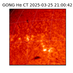 gong - 2025-03-25T21:00:42