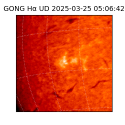 gong - 2025-03-25T05:06:42