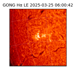 gong - 2025-03-25T06:00:42