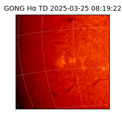 gong - 2025-03-25T08:19:22