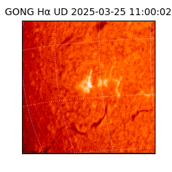 gong - 2025-03-25T11:00:02