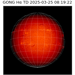 gong - 2025-03-25T08:19:22