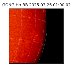 gong - 2025-03-26T01:00:02