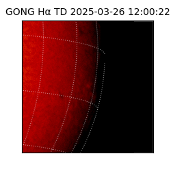 gong - 2025-03-26T12:00:22