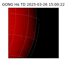 gong - 2025-03-26T15:00:22